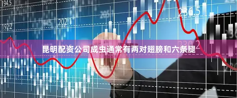昆明配资公司成虫通常有两对翅膀和六条腿