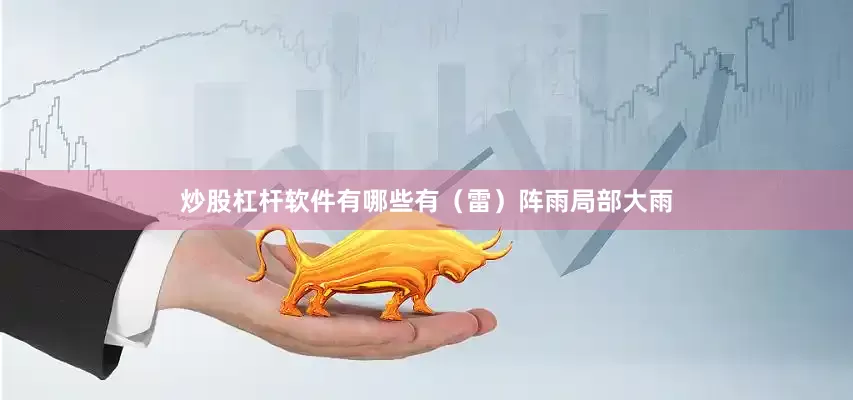炒股杠杆软件有哪些有（雷）阵雨局部大雨